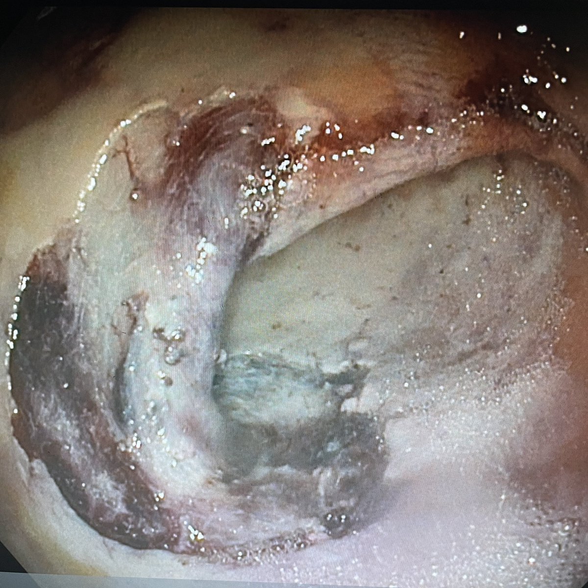 Mariajose Rojas tweet media