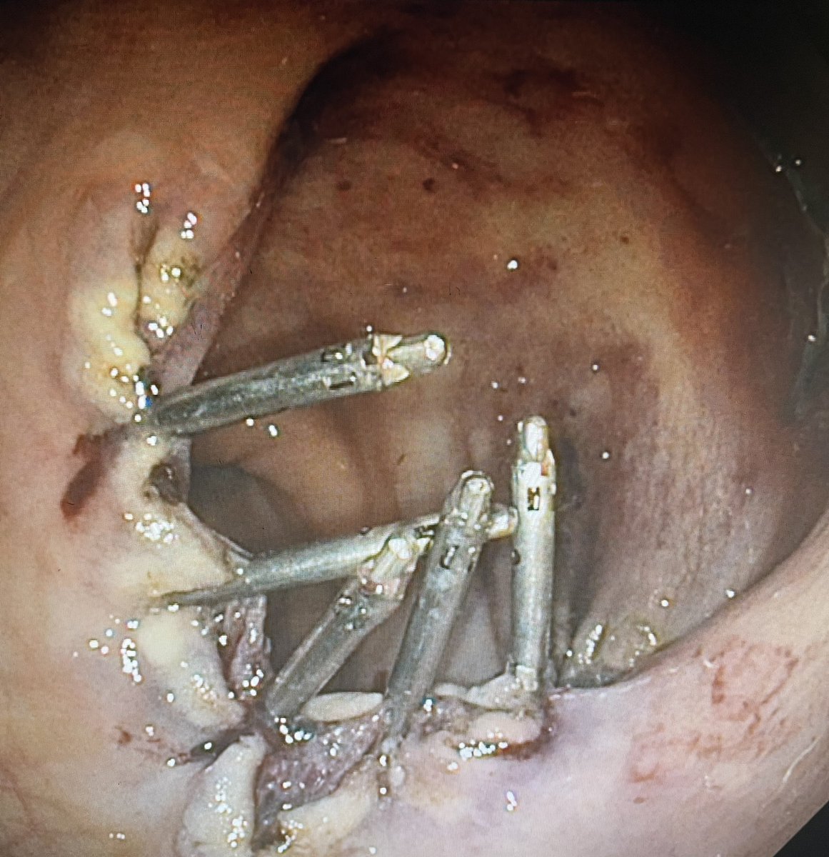 Mariajose Rojas tweet media