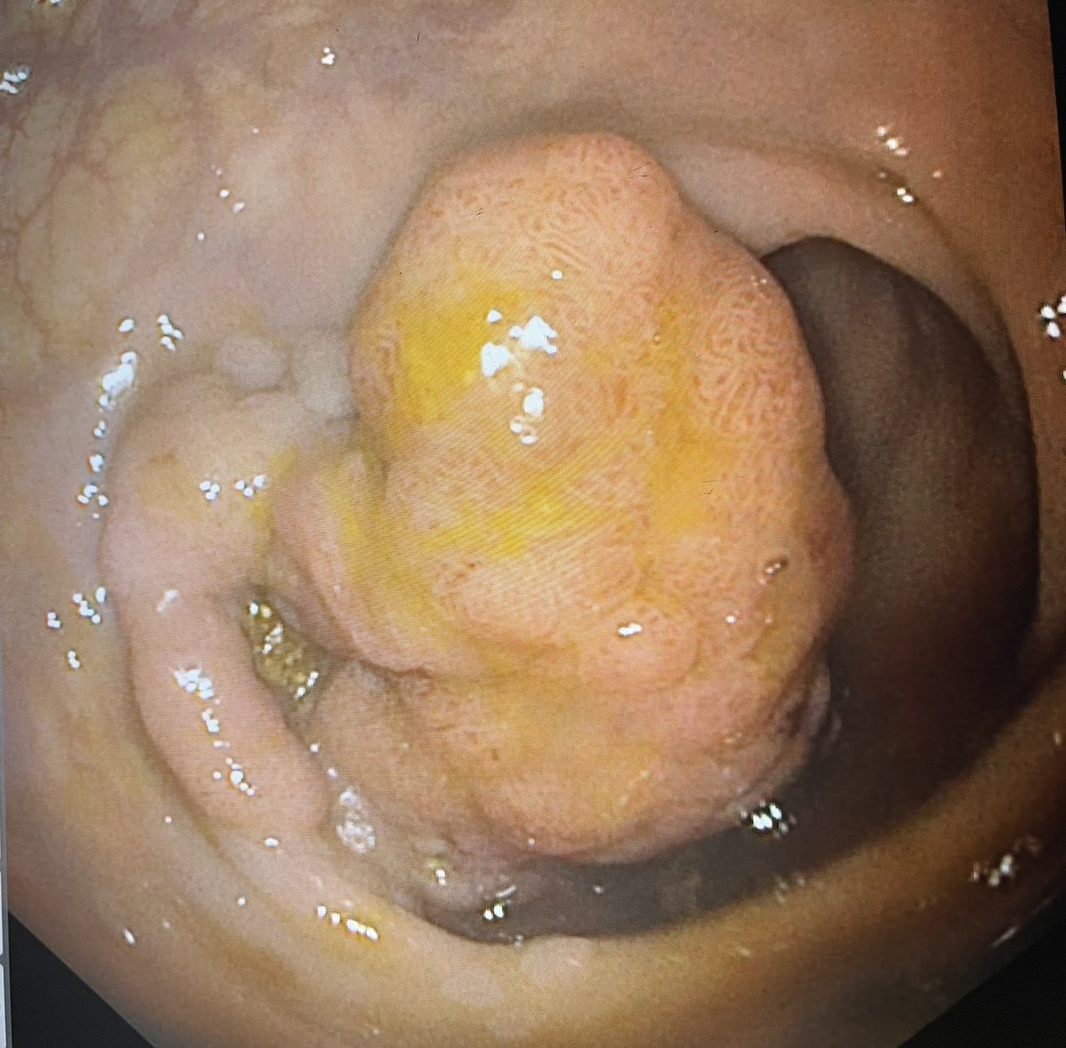 Mariajose Rojas tweet media