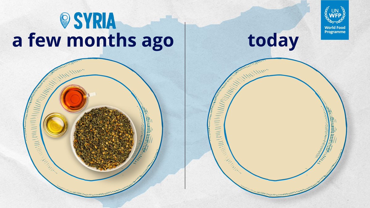 United Nations tweet media