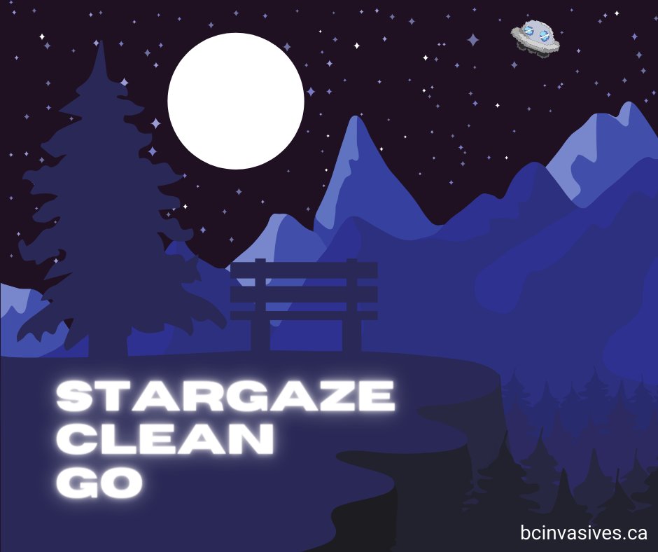 ISCBC's tweet image. Ready for fall stargazing? Don't forget to protect our planet from invasive species! Follow #PlayCleanGo practices:
1️⃣ Clean your gear before &amp;amp; after your adventure
2️⃣ Stay on paths to prevent spread to new areas
3️⃣ Report invasive species: bcinvasives.ca/take-action/re…
