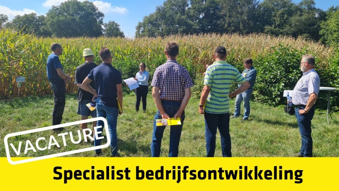📢 𝗩𝗮𝗰𝗮𝘁𝘂𝗿𝗲: specialist bedrijfsontwikkeling
Word jij onze (aankomend) specialist die in staat is om ondernemers te ondersteunen bij een toekomstgerichte landbouw in een sterk veranderende markt? Bekijk deze superleuke vacature! 👉bit.ly/3jmve6N
