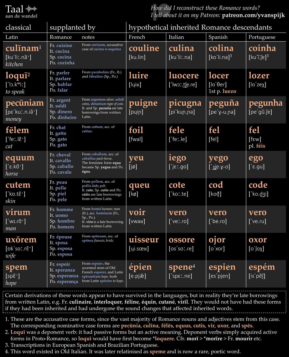 Many Latin words didn't survive in the Romance languages. For example, 'fēlēs' (cat) was displaced by 'cattus', which became 'chat', 'gato' etc. Using the laws of sound change, I worked out what 'fēlēs' and 8 other words would look like if they had survived. Audio below! ⏬ 1/2