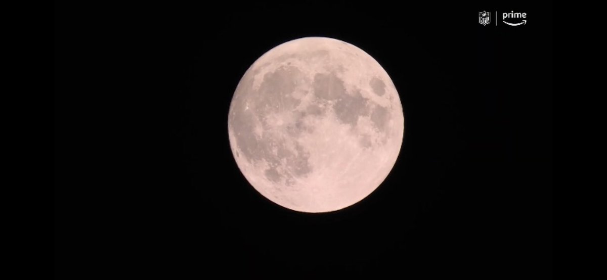 We sucked last night. 

A howler. #GoPackGo