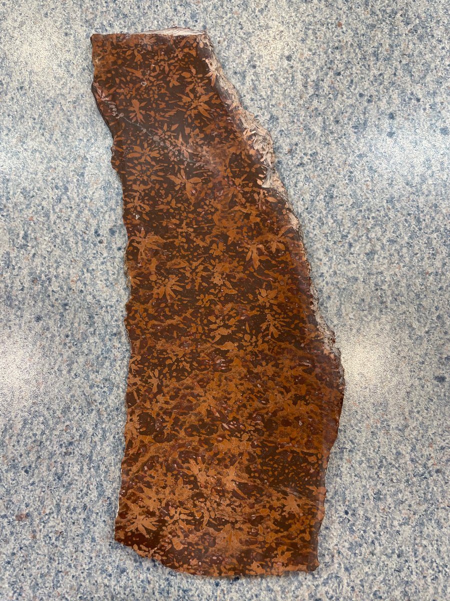 Snapdragon1333's tweet photo. This slab is called spider jasper, named for the fact that it looks like tiny spiders all over it. I hope to eventually get a piece of spider web jasper to match it lol. Other than that it's kinda hard to find any info on this one, maybe it goes under a different name? #Snaprocks https://t.co/nVJswZbfEC