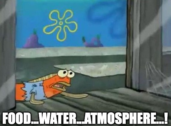 Whalebus's tweet image. This ep has it all