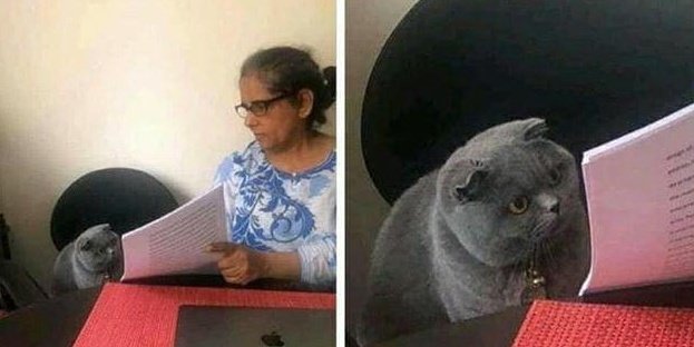 —¿Cómo se llama el lugar donde se encuentran los Dioses?
—Olimpo
—Y ¿Por qué pusiste "en la gloriosa facultad de ingeniería"?