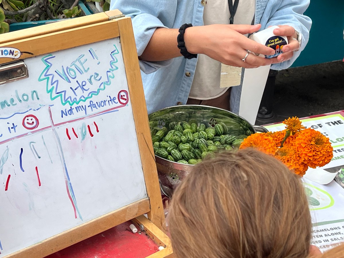 Anthony Ranii tweet media