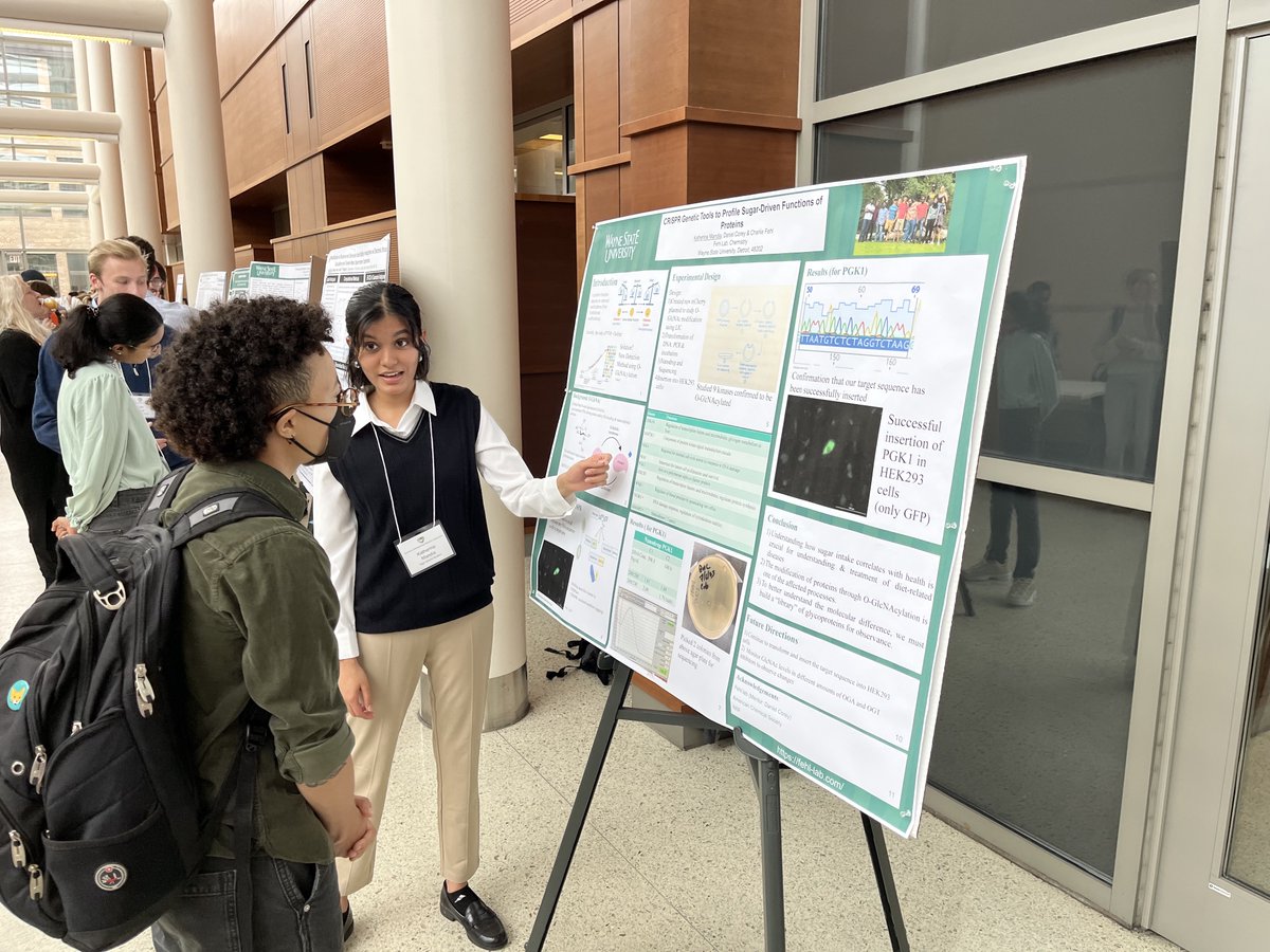 Fehl-Lab tweet media