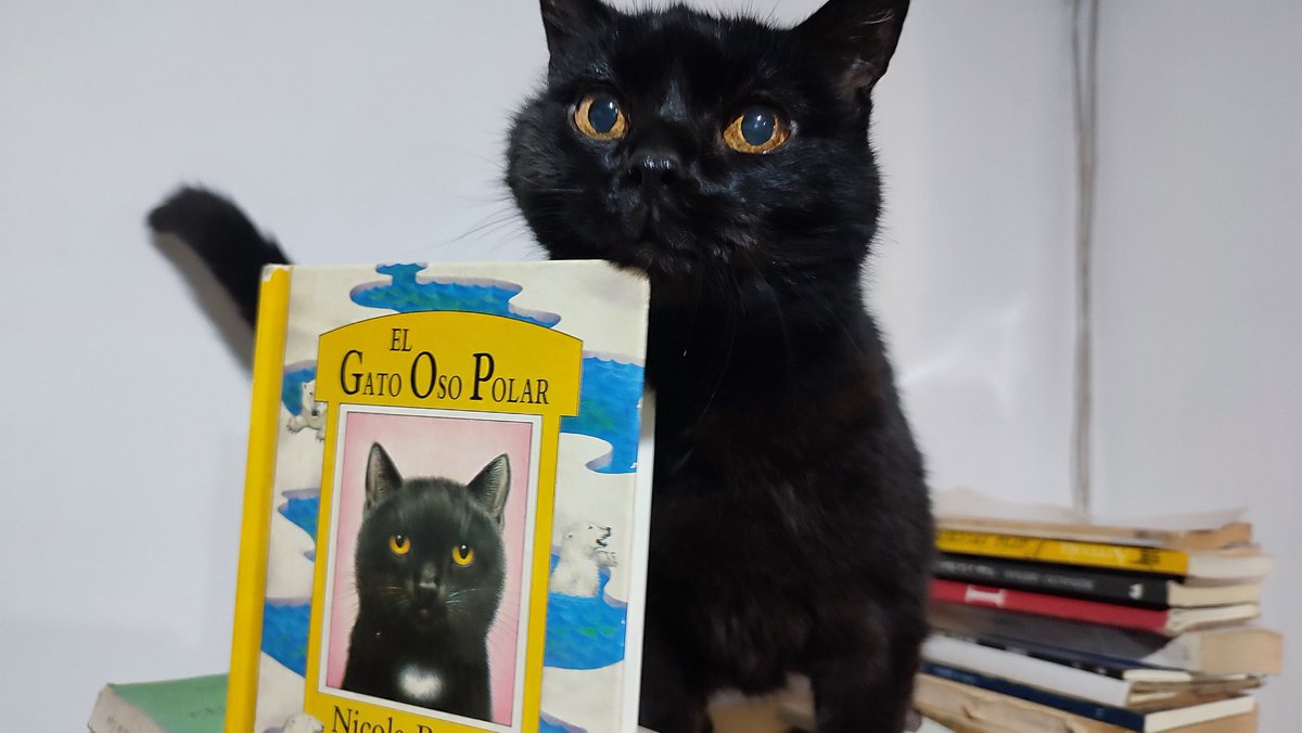 MPD Salón de la Fama tweet media