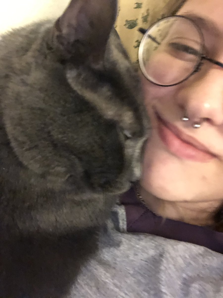 Kitties make the world go round