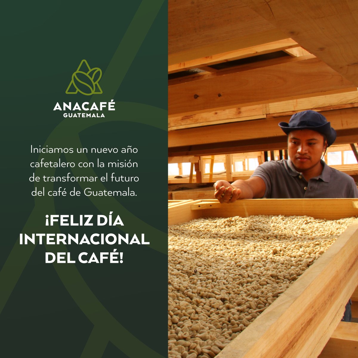 CafedeGuatemala's tweet photo. ¡Feliz Día Internacional del Café! ☕️🎉
#CafédeGuatemala #PatrimonioIntangible #InternationalCoffeeDay https://t.co/0ApFBJc5by