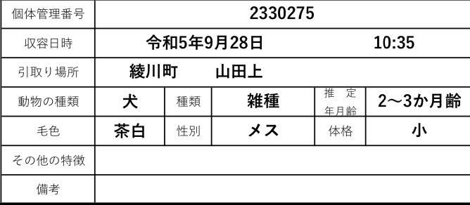 konchanlove0624's tweet photo. 🆘掲載期限10月5日🆘
#香川県 https://t.co/aN9vdtl6O4