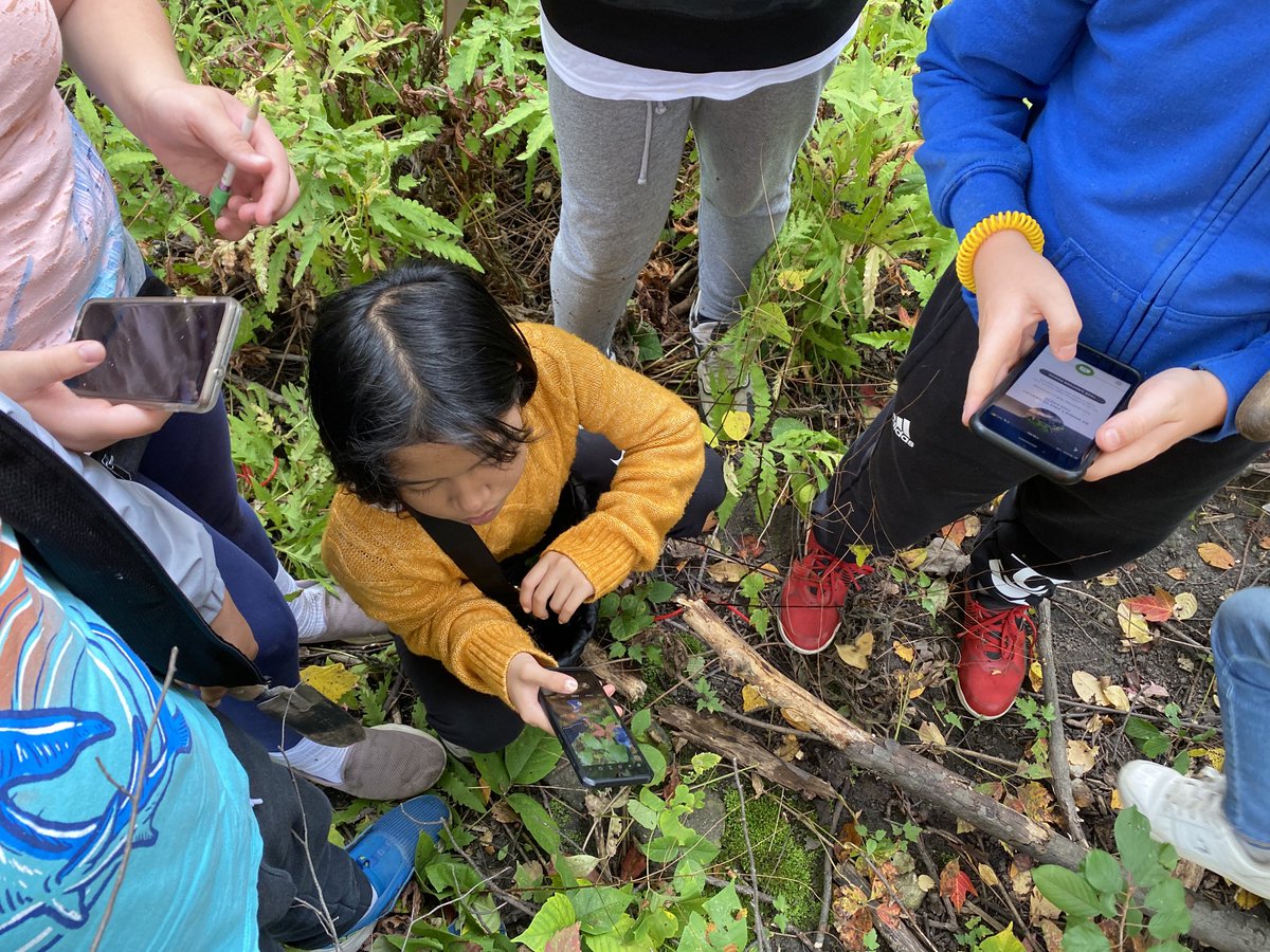 Leveraging Digital in the forest! The ⁦⁦⁦@seekbyinat⁩ app allowed us to identify the various species that we discovered during our Biodiversitt field trip. ⁦@StGregoryOCSB⁩ ⁦@OttCatholicSB⁩ #takemeoutside #outdoorlearning #makingmemories