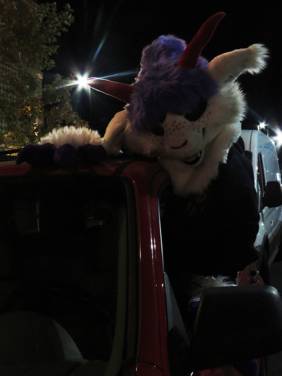 Reddark_ish's tweet photo. Outing photos from last night ! 

🌟

#fursuiting #FursuitFriday #fursuit #furrycommunity 

🌟

📷 @Underwraps307 https://t.co/NGzyjVHI3S