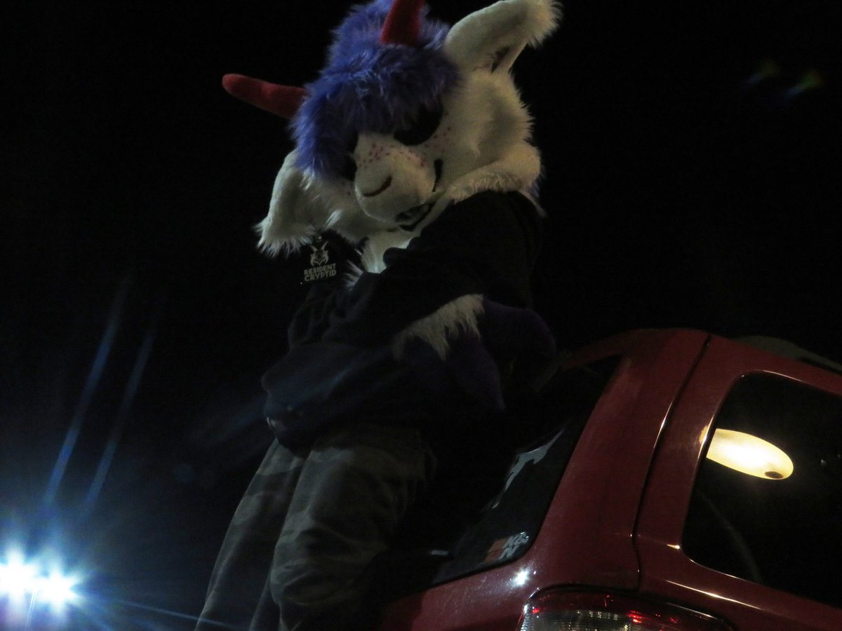 Reddark_ish's tweet photo. Outing photos from last night ! 

🌟

#fursuiting #FursuitFriday #fursuit #furrycommunity 

🌟

📷 @Underwraps307 https://t.co/NGzyjVHI3S