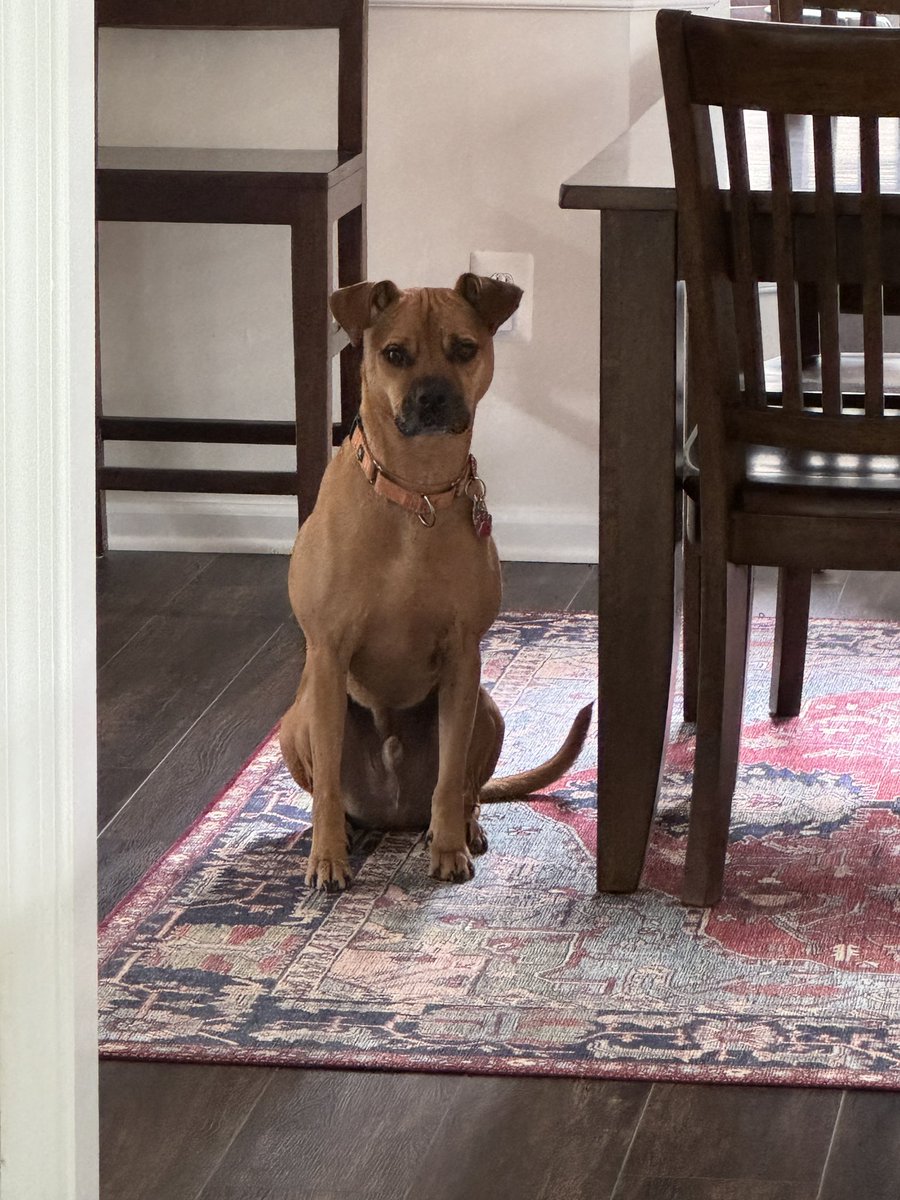 Hamilton tweet media