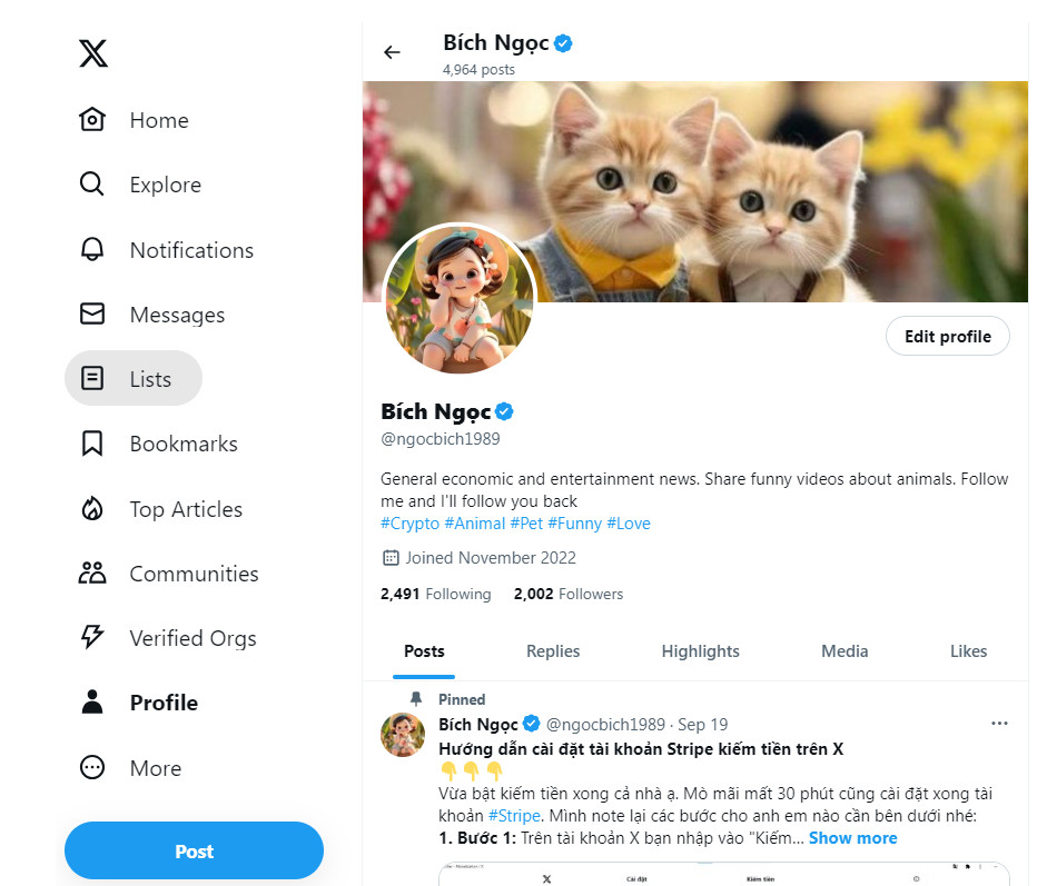 Bích Ngọc tweet media