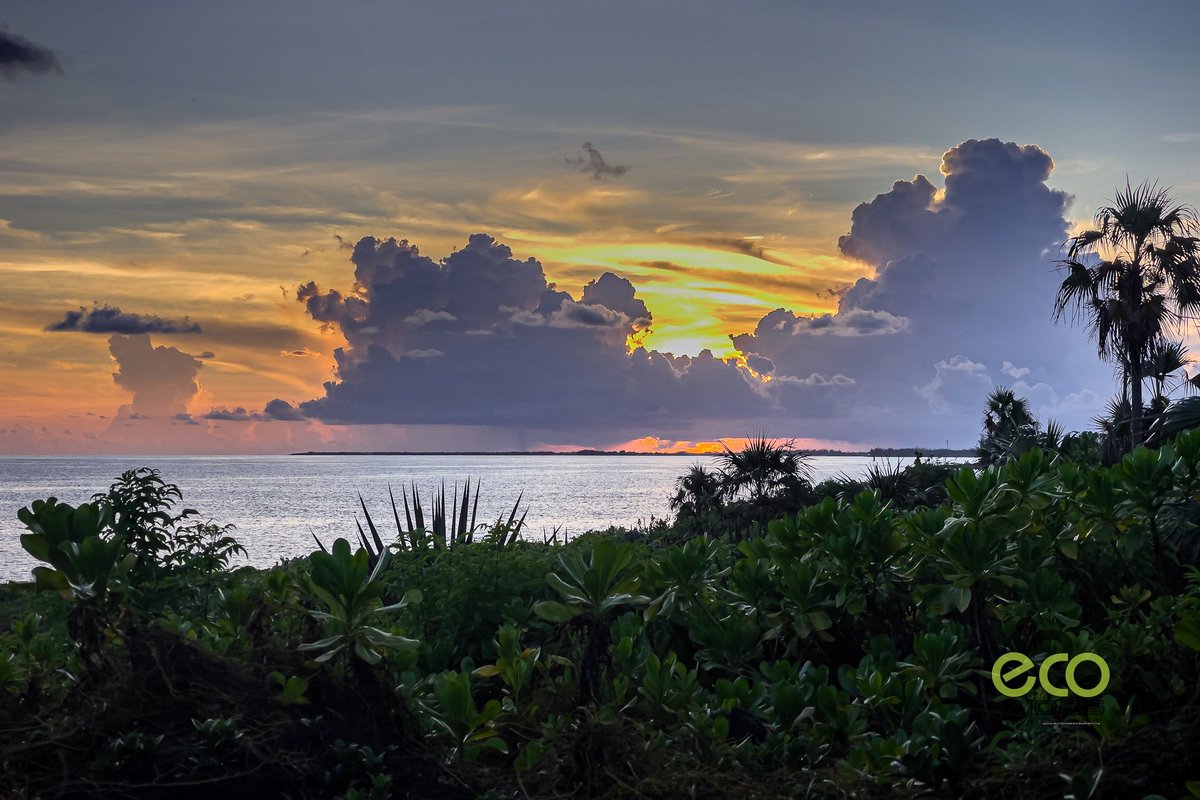 Sunset view from High Rock, East End. #sunset #ecoridescayman #letsride #grandcayman #caymanislands
#biketoursincaymanislands #thingstodocaymanislands #caymankind #ecotours #bicycletours  #beautifuldestinations #earthpix #lonleyplanet #instaphoto #instadaily  #explore #nature