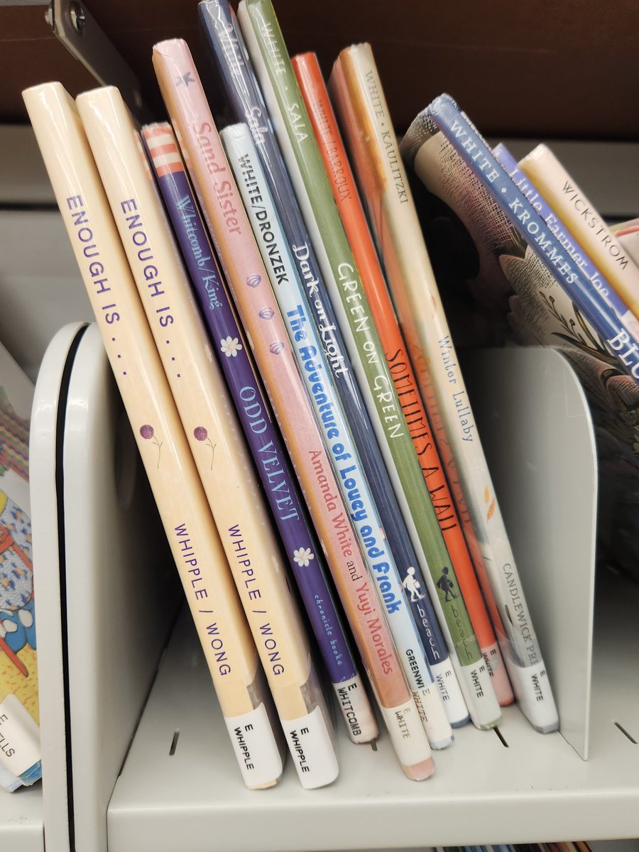 Ela Castelli tweet media