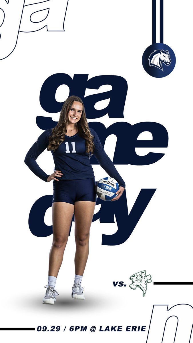 Hillsdale College Chargers tweet media