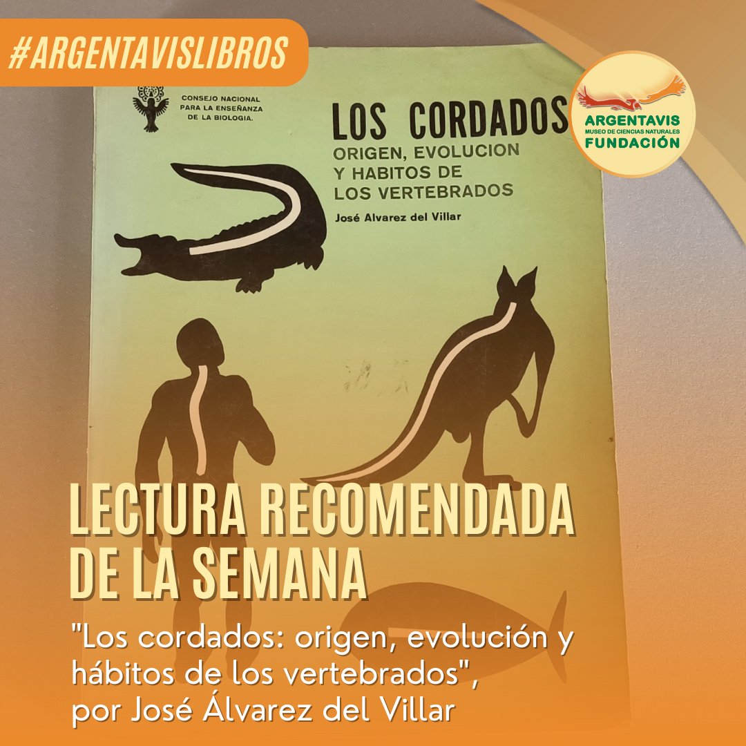 argentavis_f's tweet photo. 🌟📖 ¡Lectura recomendada semanal! 📚🌄 Explora la maravilla de la naturaleza y ciencias. Sumérgete en biodiversidad, geología, ecología y más. 🌿🌏 ¡Aventúrate en un mundo de descubrimientos! 📚🔍🌿 #ArgentavisFundacion #Libros #Museo #LecturaRecomendada #Books #Ciencia #Nature https://t.co/2nSrEdYVEu