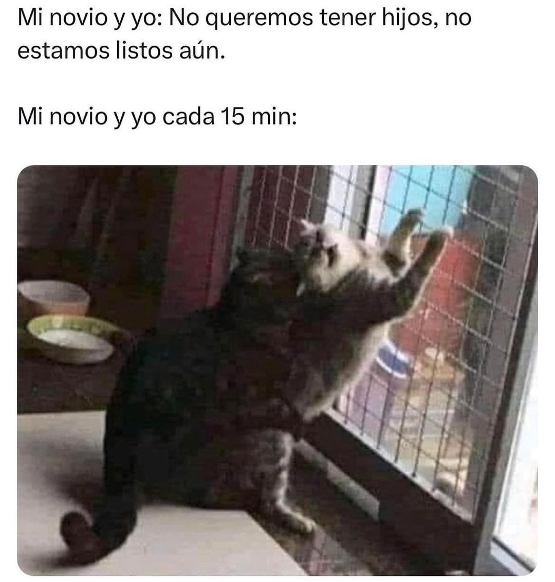 Indirectas.plenas (@indirectasplen) on Twitter photo 