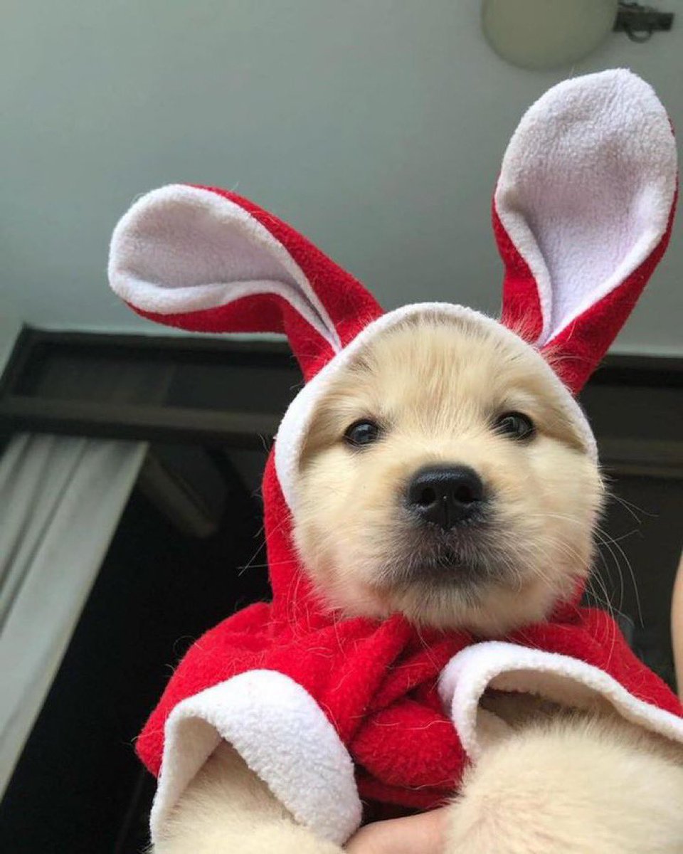twaniimals's tweet photo. https://t.co/6RZ7uHqwMR