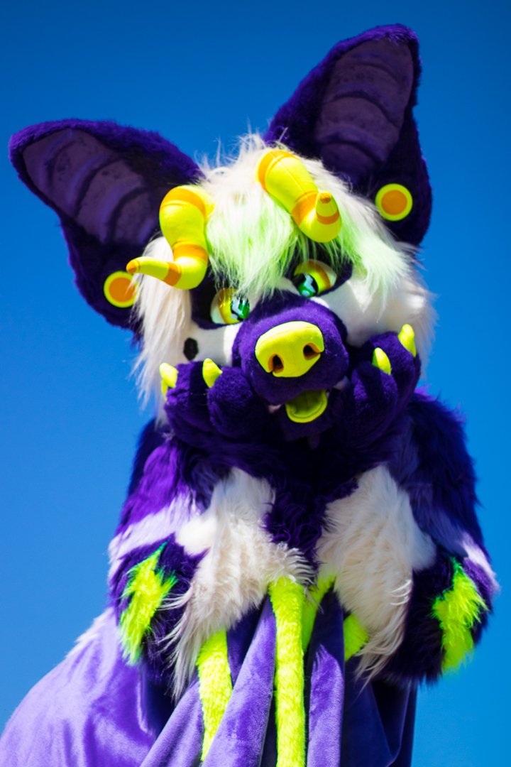 Short 🦇 tweet media