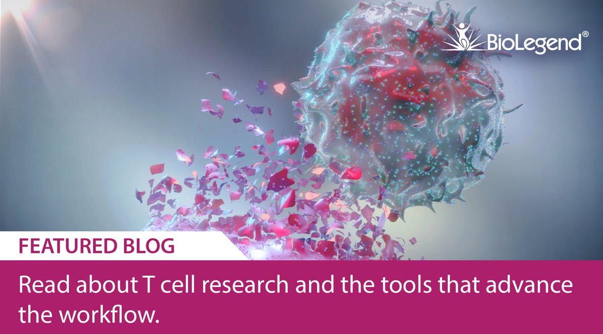 BioLegend's tweet photo. The capacity of T cells for antigen-directed cytotoxicity has elevated their role in cancer immunotherapies. Our blog discusses the latest tools to power T cell research, from cell isolation to expansion to phenotyping. https://t.co/lRIEb7Cys7 #Revvity https://t.co/etcKGtytPT