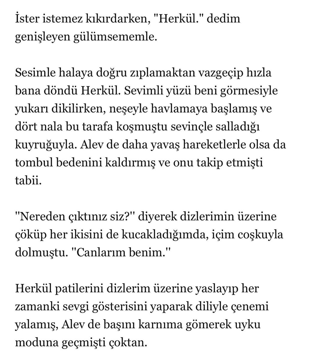 sadeceozge8's tweet photo. Bazı kavuşmalar çok daha özeldir 🐶🤍🐱
• #BeyazGece | #GüneşiYakala • https://t.co/NUyhMwNJ97