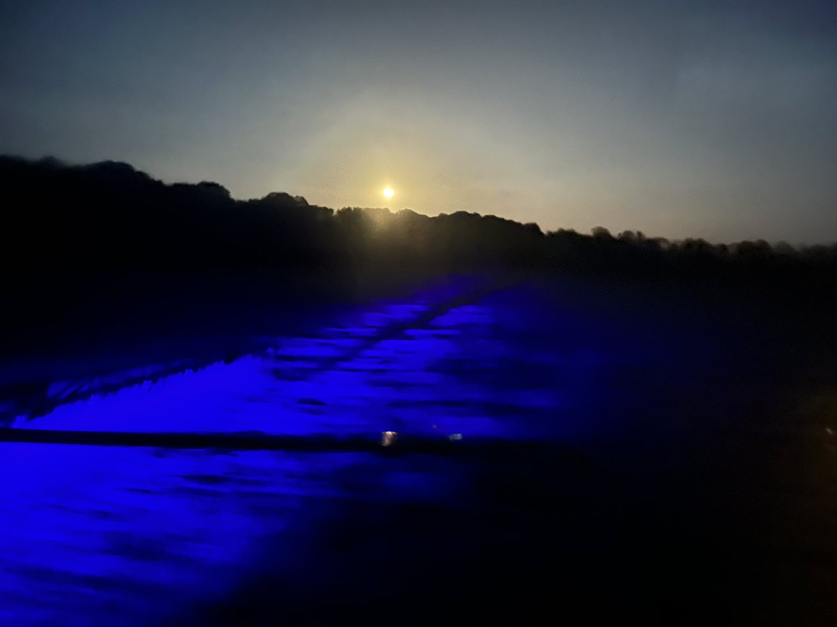 Richard Tagg tweet media