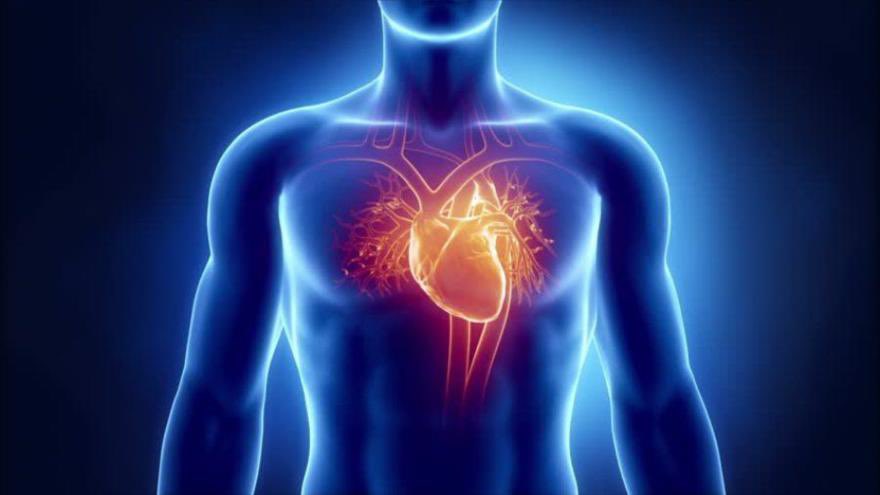 jpascuaibarrola's tweet photo. Feliz Día Mundial del CORAZÓN. Todos tenemos uno, aunque no todos le damos el mismo uso. #Ítaca 

Bonne Journée Mondiale du COEUR. Nous en avons tous un, même si nous ne l’utilisons pas tous de la même manière. #Ithaque https://t.co/HlOhx4T17f