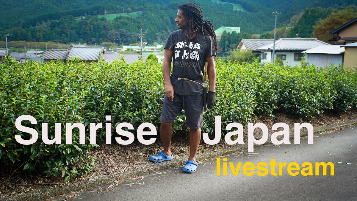 Gaijin Otousan tweet media