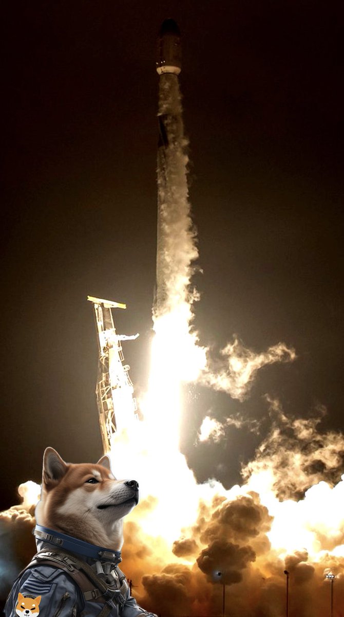 <a href="/elonmusk/">Elon Musk</a> To the 🌖 and beyond $BONE it!