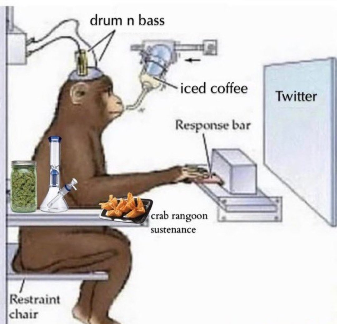 Primates (@primatesdaily) on Twitter photo 