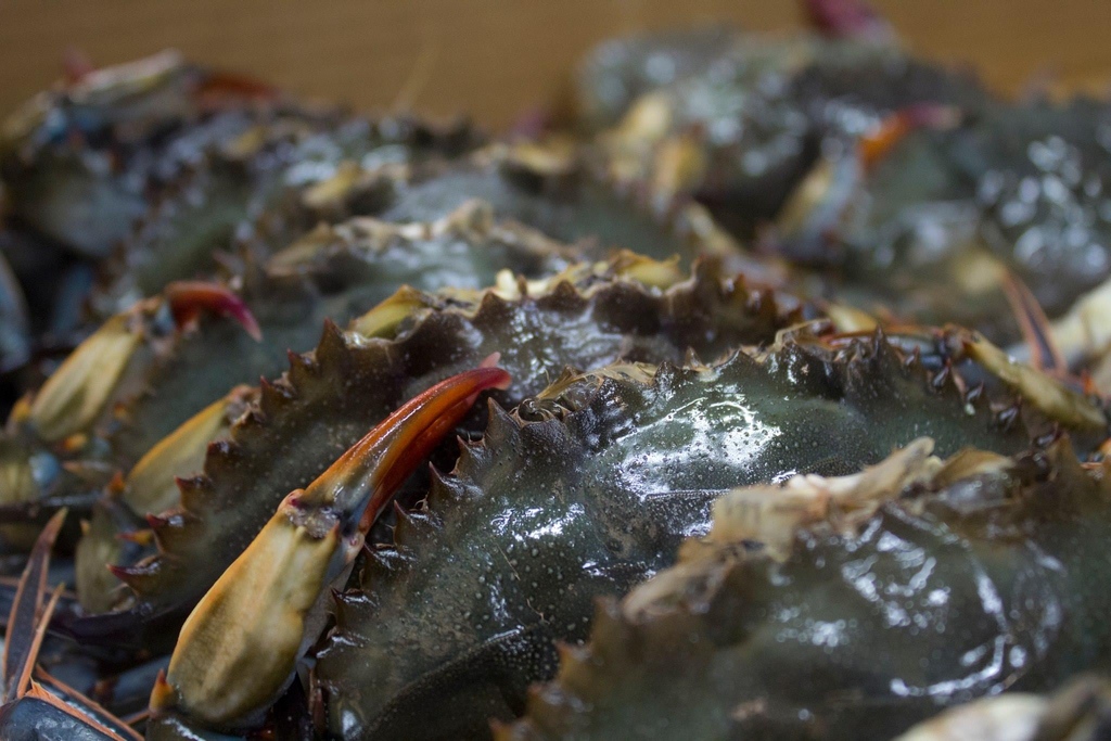 collegeinn's tweet photo. Softshell crabs in the house tonight! Come enjoy our delicious softshell crab entrée and then head over to Rock'n'Bowl for a night of great music! #softshellcrabs #localseafood #collegeinn https://t.co/K34yyUWiu7