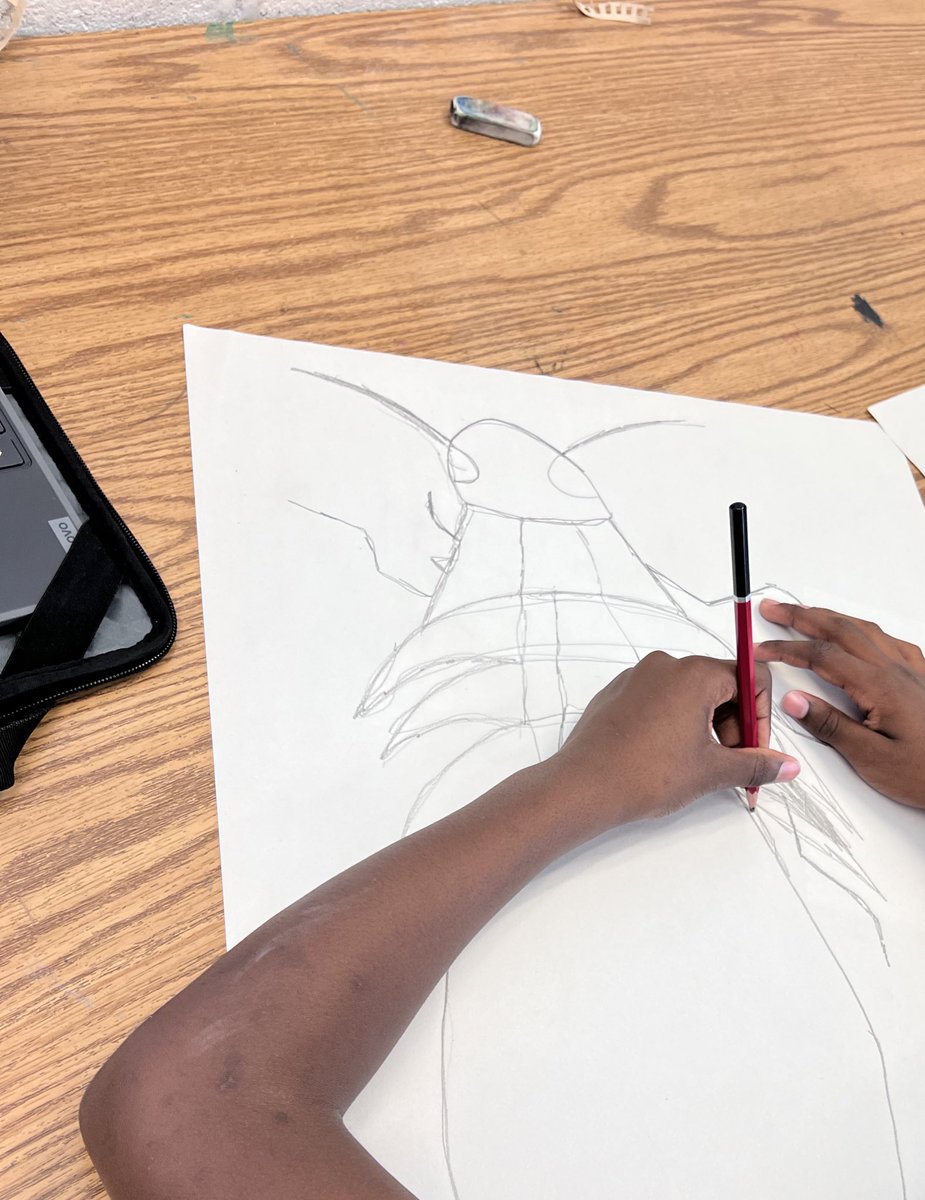 HowardArtCMS's tweet image. Drawing fun creatures in 6th grade! #contourlines