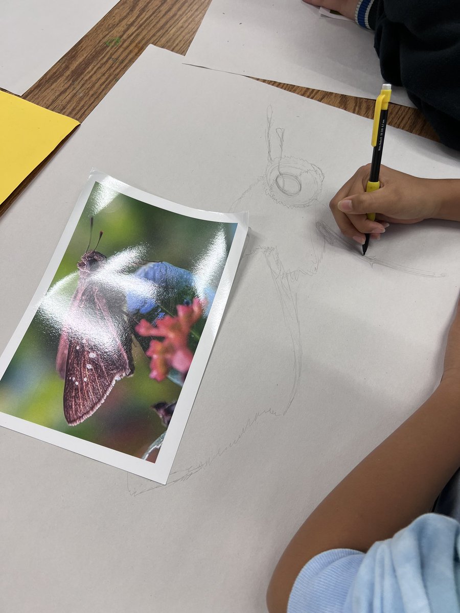 HowardArtCMS's tweet image. Drawing fun creatures in 6th grade! #contourlines