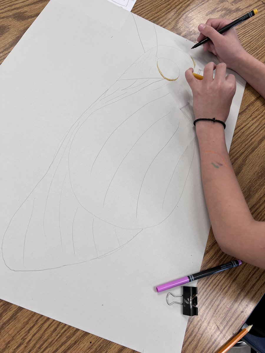 Drawing fun creatures in 6th grade! #contourlines