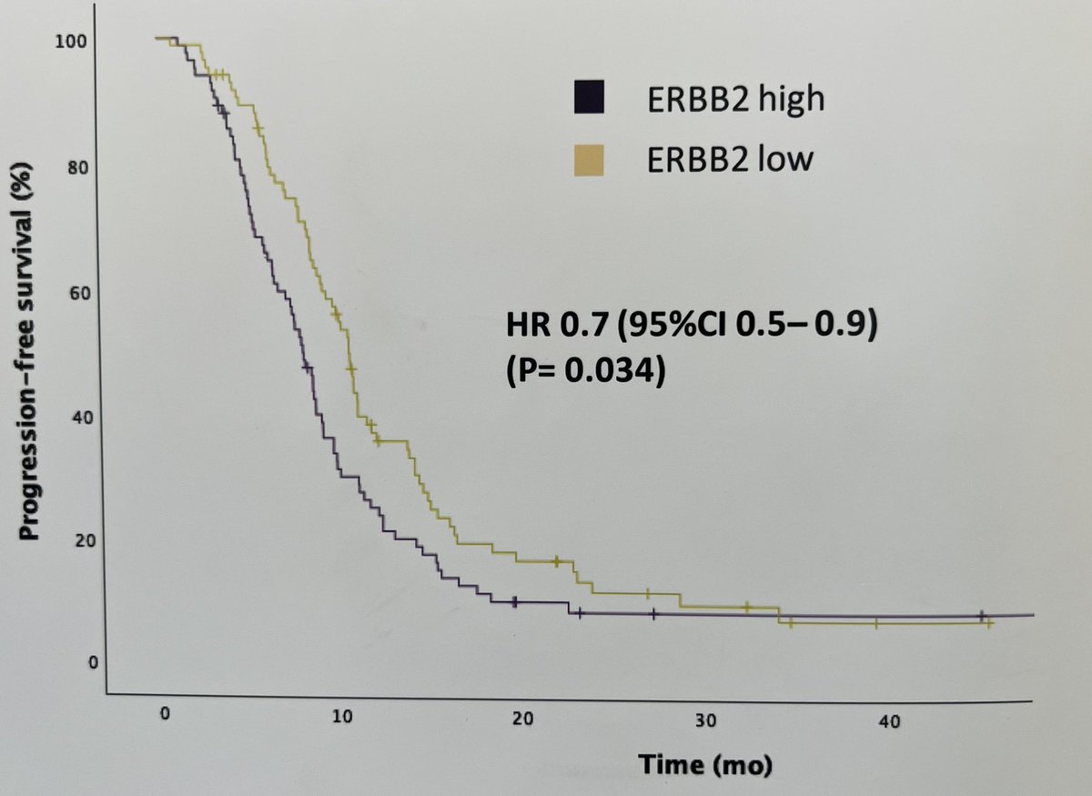Tom Powles (@tompowles1) on Twitter photo interest in HER 2 & 3 expression in urothelial cancer due to new ADCs. Exploratory analysis from R3 LAMB trial shows ~50% of tumors are HER2 and HER3 +ve. HER2 maybe associated with short PFS. Disitimab vedotin in R3 in 1st line UC, HER3 ADCs awaited in UC <a href="/b_szabados/">Bernadett Szabados</a> @IBCN23 interest in HER 2 & 3 expression in urothelial cancer due to new ADCs. Exploratory analysis from R3 LAMB trial shows ~50% of tumors are HER2 and HER3 +ve. HER2 maybe associated with short PFS. Disitimab vedotin in R3 in 1st line UC, HER3 ADCs awaited in UC <a href="/b_szabados/">Bernadett Szabados</a> @IBCN23