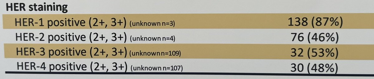 Tom Powles tweet media