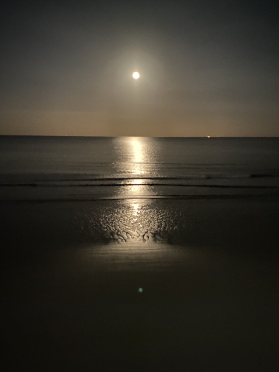 Snugglyduvet's tweet photo. #filey #yorkshirecoast #yorkshire 
@Filey_UK @OfficialFiley.
@LoveNorthYorks1
@DiscoverCoast

Beautiful evening. https://t.co/o9b8Vm9xEr