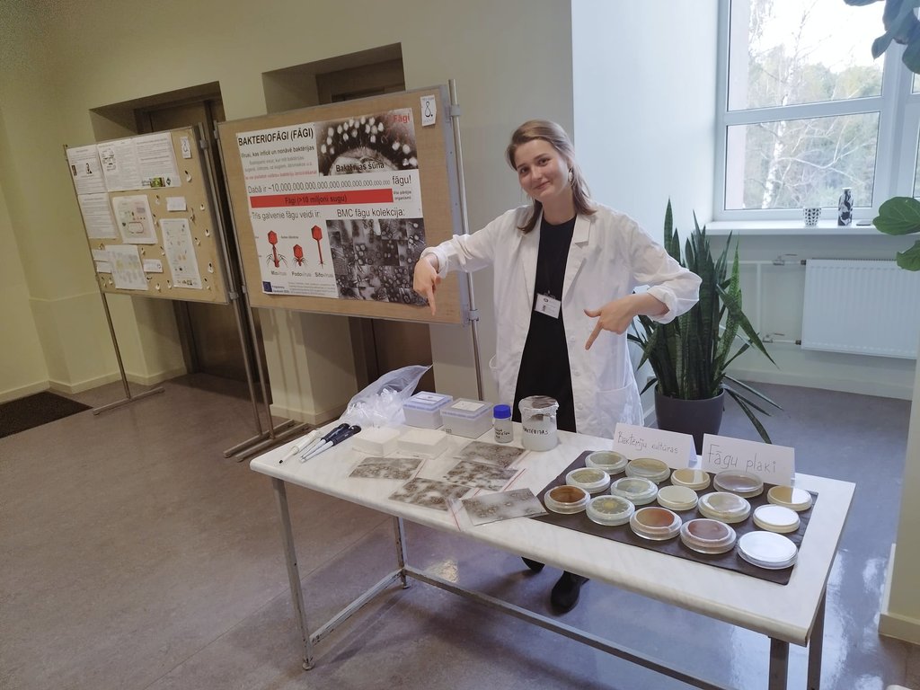 Bombing "Researcher's night" with bacteriophage activities at <a href="/BMC_LV/">BMC</a>. Phage TEM puzzles, bacterial cell wall degrading enzyme experiments, hand microbiome plating and more!