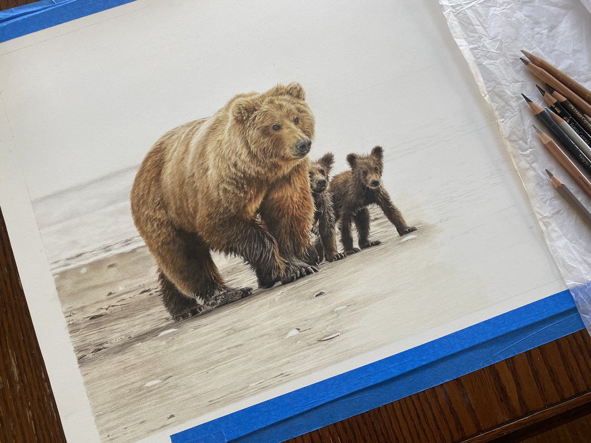Drawing sand is veryyy therapeutic, this original coloured pencil drawing of a mama grizzly and two cubs will hopefully be finished sometime next week. 

I’m looking for some title suggestions for this piece and just wanted to let you know it is available to purchase #art #artist