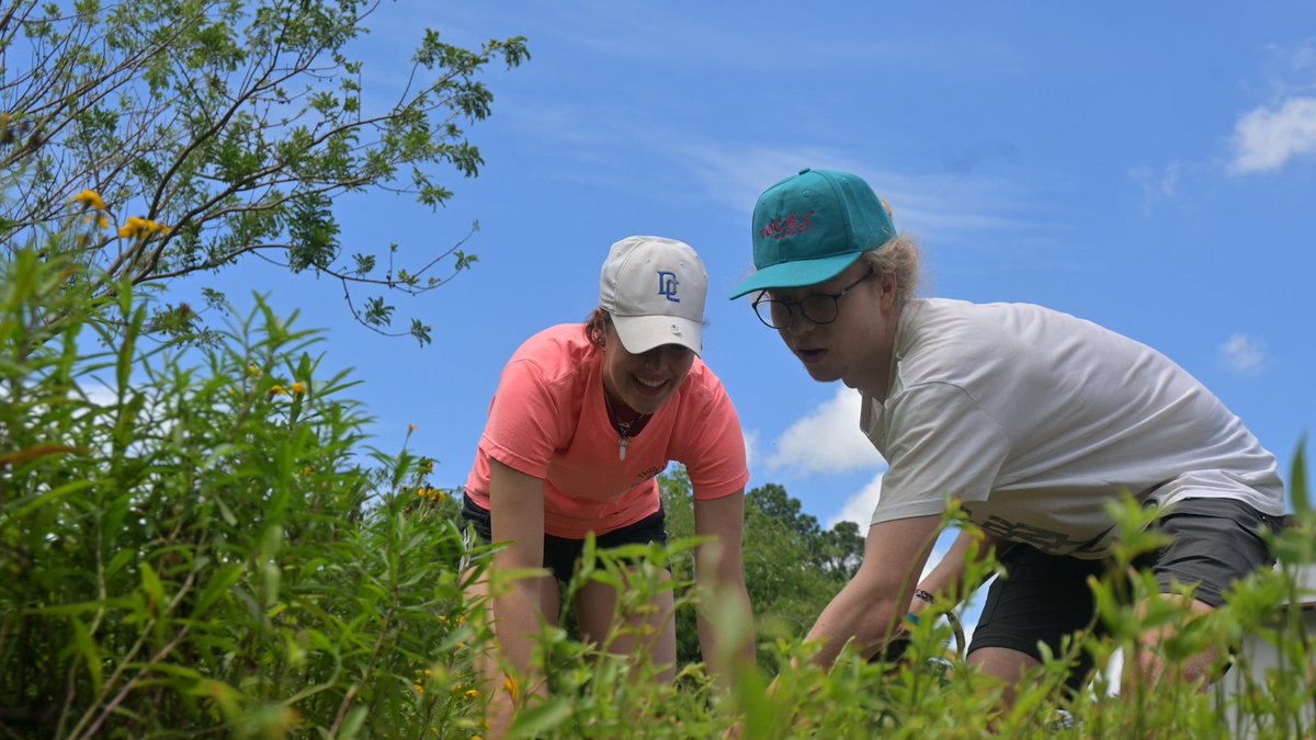 upwithpeople's tweet image. Cast A23 planting the seeds of change, one at a time. 🌱💚

#Upwithpeople #UWP #UWPprogram #VOICES #VOICESbyUWP #changemakers #youth #energy #diginity #equality