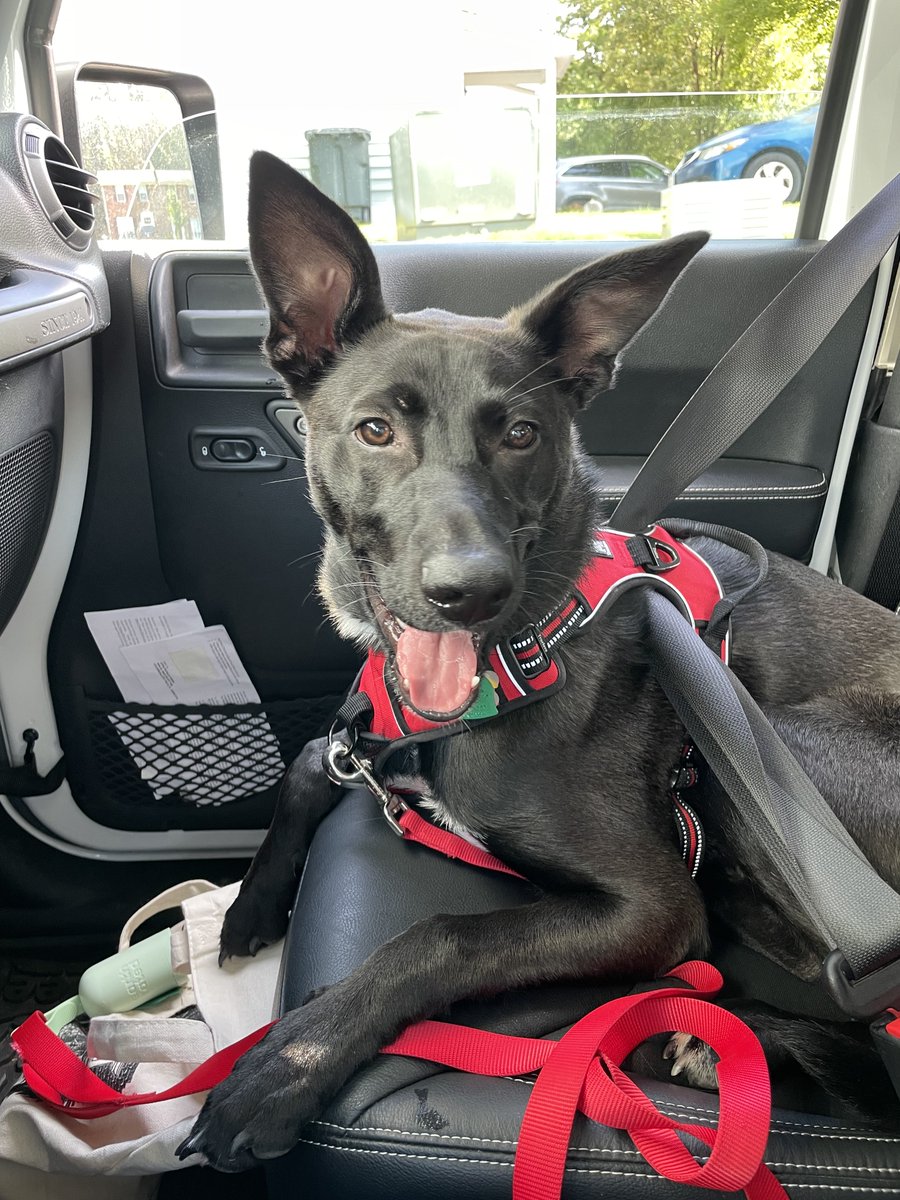 Cathryn Perini tweet media