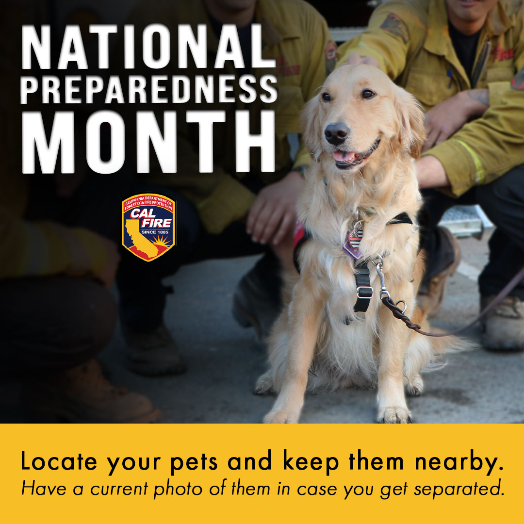 As #NationalPreparednessMonth wraps up, remember your furry family members! Keep them close, have a recent photo handy, and prioritize their safety in emergencies. Your pets are family too! #NPM2023 #petsafety #pets