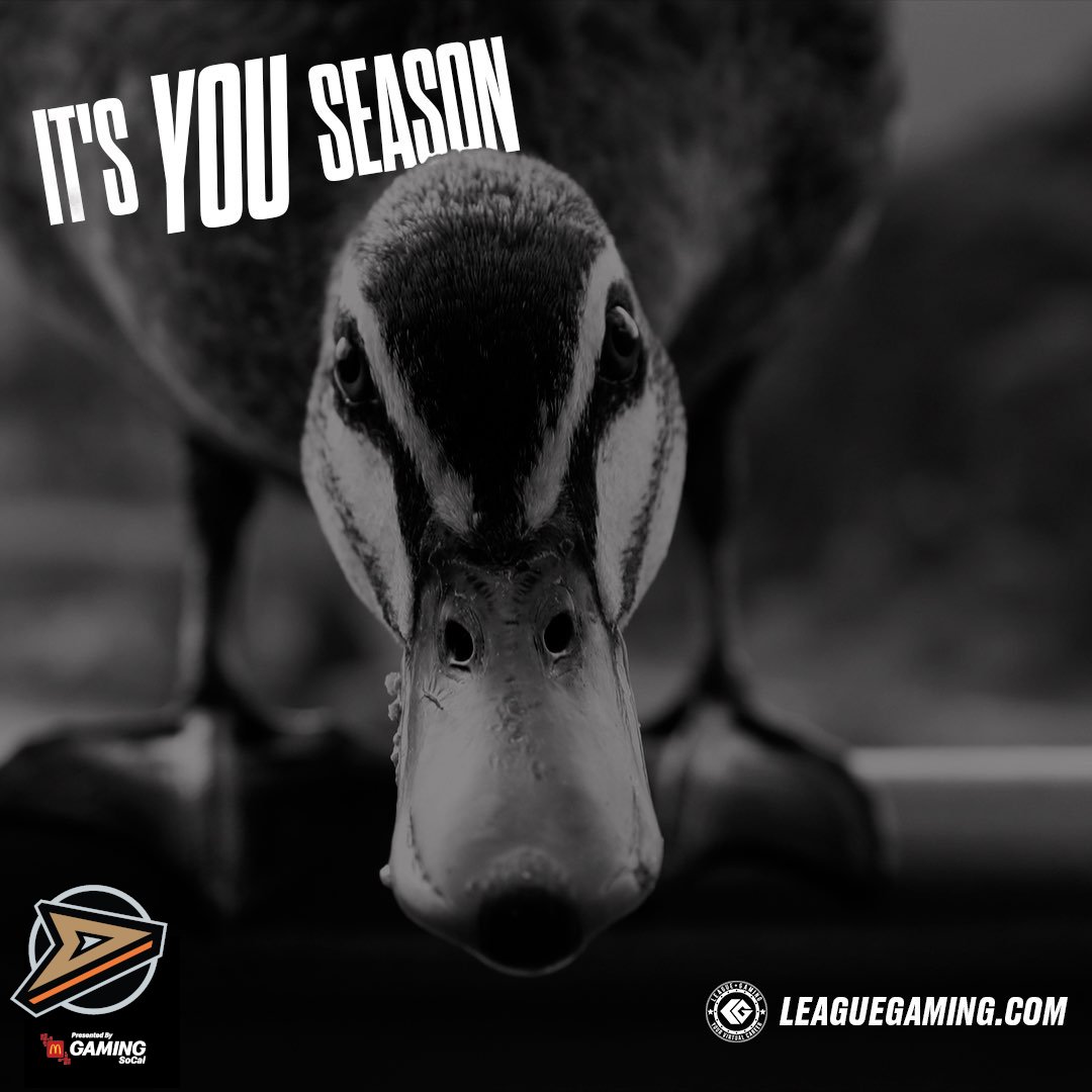 Leaguegaming (@leaguegaming) on Twitter photo 📢 Your 2⃣ announced #LGHL directly affiliated team is <a href="/NHLDucksGaming/">Anaheim Ducks Gaming</a> 🦆
This team will see G.M. act is team president while the team owner and gm will run day to day operations.
LGHL bidding starts Oct 18th
Signup today @
leaguegaming.com/forums/index.p… 📢 Your 2⃣ announced #LGHL directly affiliated team is <a href="/NHLDucksGaming/">Anaheim Ducks Gaming</a> 🦆
This team will see G.M. act is team president while the team owner and gm will run day to day operations.
LGHL bidding starts Oct 18th
Signup today @
leaguegaming.com/forums/index.p…