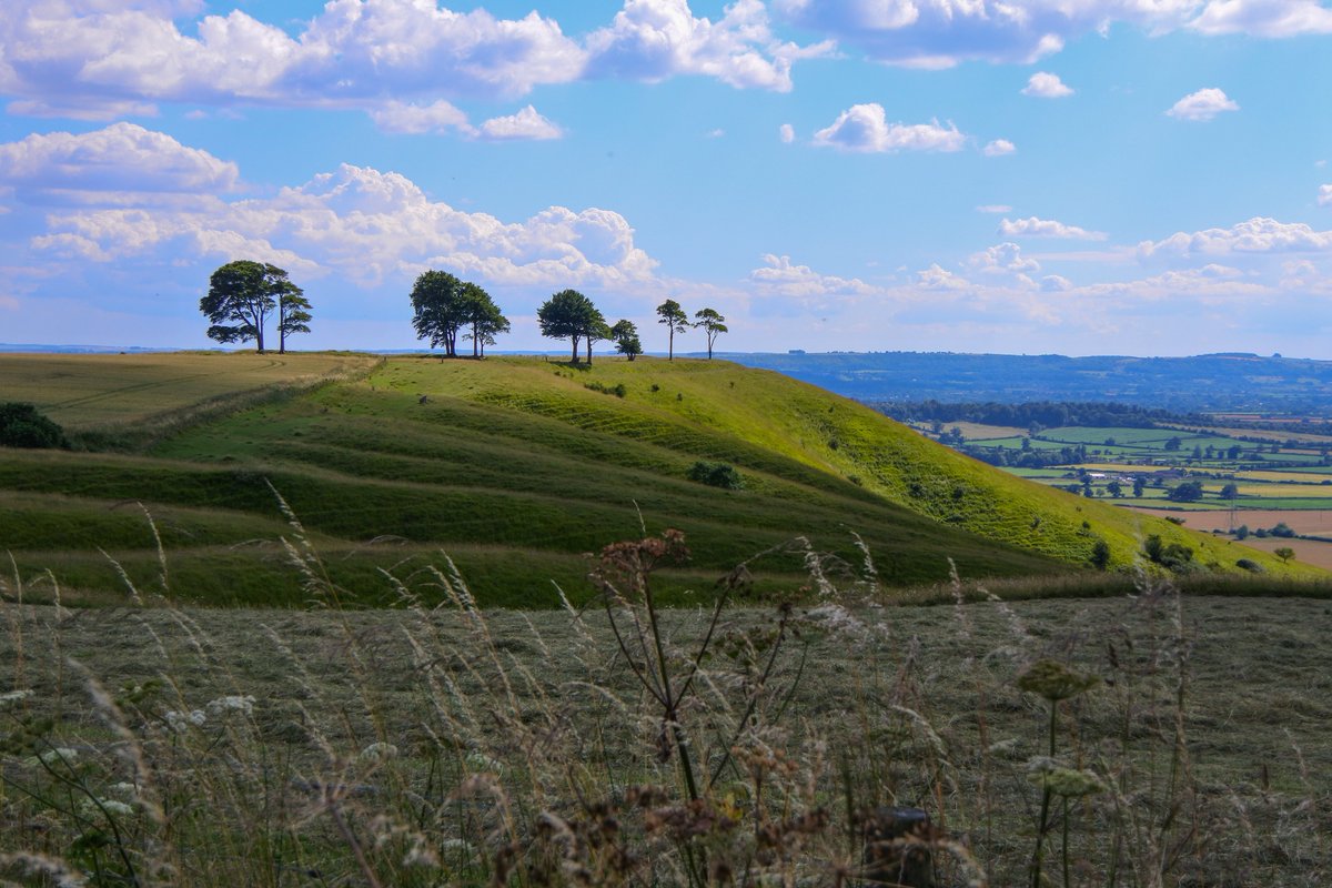 Glyndle's tweet photo. A Wiltshire scene, standing on Beacon Hill looking across to Oliver's Castle hillfort at a similar spot to where Richard Burton and John Hurt stood in the movie "1984". Even though these two photos were taken almost 40 years apart, it's interesting to see how the trees have hardly changed at all #Wiltshire
